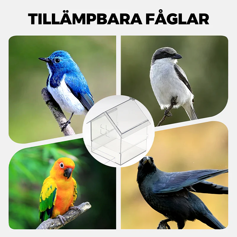 Miniatyrbild 7