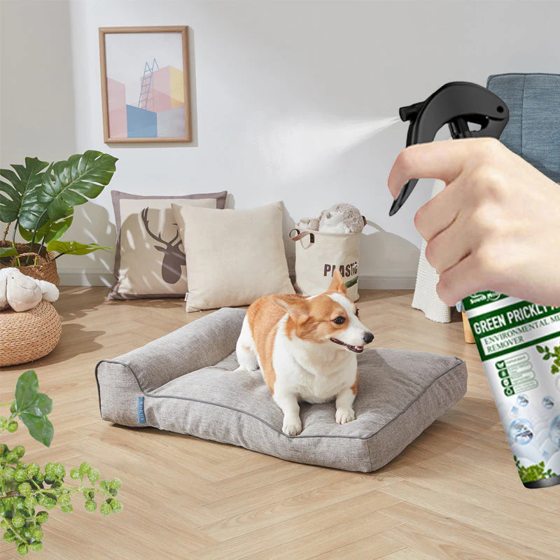 Miniatyrbild 10