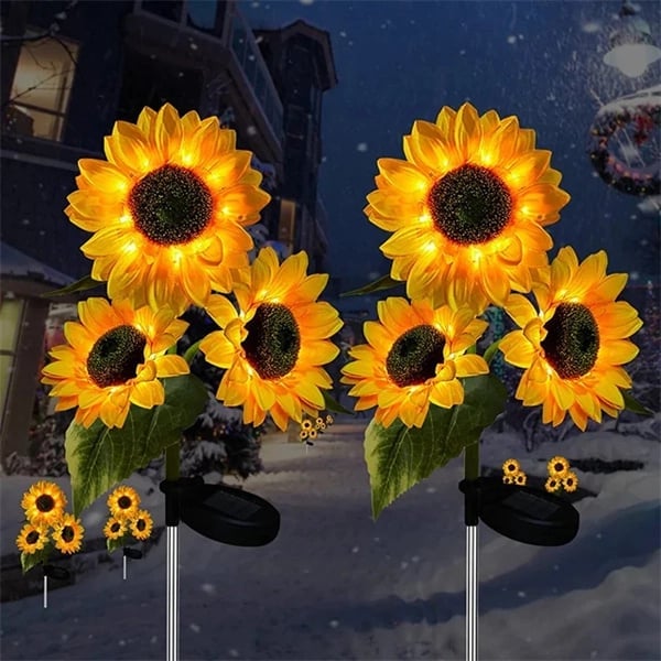 Miniatyrbild 19